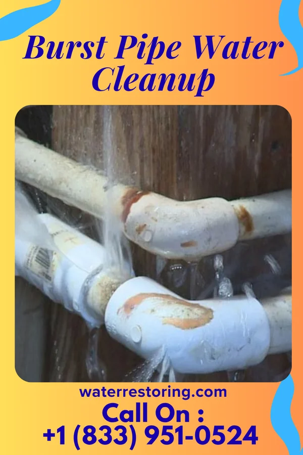 Burst Pipe Water Cleanup in Ocean City, NJ
