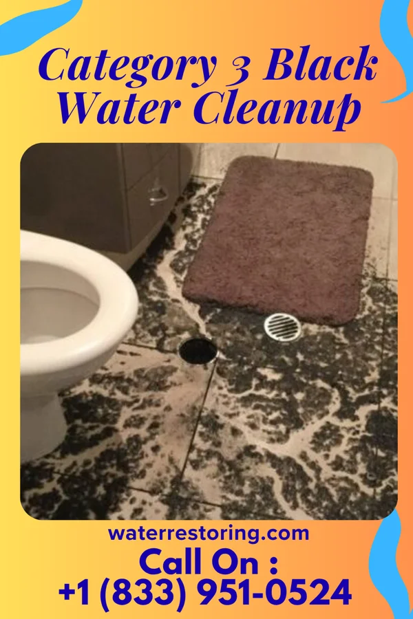 Category 3 Black Water Cleanup in Ocean City, NJ