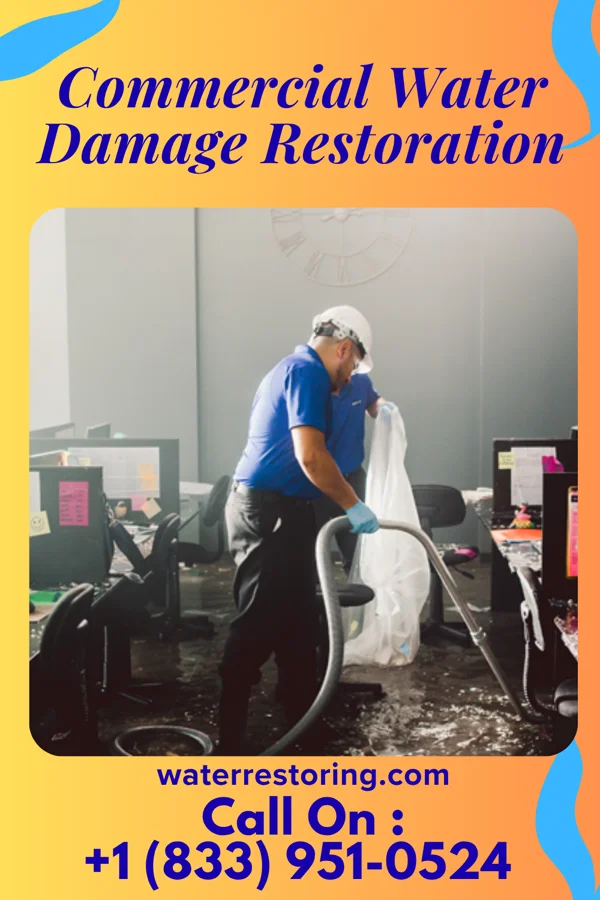 Commercial Water Damage Restoration in Ocean City, NJ
