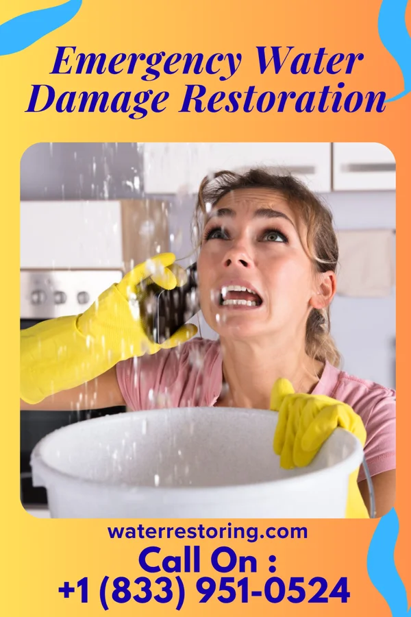 Emergency Water Damage Restoration in Ocean City, NJ
