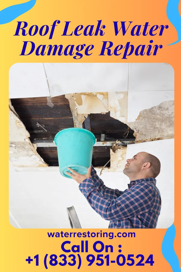 Roof Leak Water Damage Repair in Ocean City, NJ
